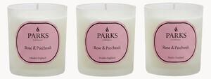 Ručne vyrobené vonné sviečky Vintage Aromatherapy (Rose, Patchouli & Green Stem), 3 ks