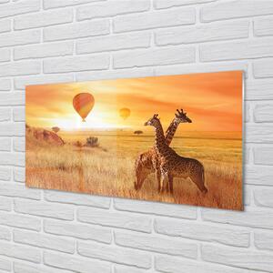 Nástenný panel  Balóny neba žirafa 100x50 cm