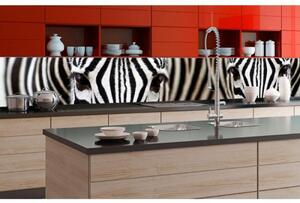DIMEX | Fototapeta do kuchyne Zebra KI-350-016 | 350 x 60 cm | čiernobiela