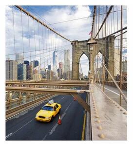 DIMEX | Vliesová fototapeta na stenu Mesto New York MS-3-0004 | 225 x 250 cm | modrá, béžová, biela, viacfarebná