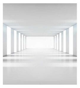 DIMEX | Vliesová fototapeta na stenu 3D biela chodba MS-3-0036 | 225 x 250 cm | biela, šedá