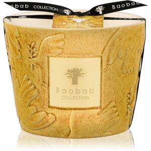 Baobab Collection Paz Dove vonná sviečka 500 g