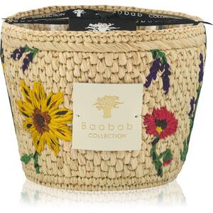 Baobab Collection Vony Ahitra vonná sviečka 500 g