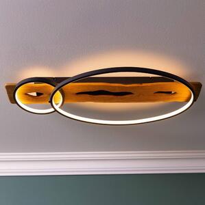 Brilliant - LED stmievateľné stropné svietidlo PIRUS LED/30W/230V 30x70 cm