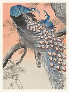 Obrazová reprodukcia Two Peackcoks on a Peach Branch (Japandi Vintage) - Ohara Koson, (30 x 40 cm)