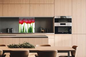 DIMEX | Dibond doska za kuchynskú linku | DBW-06060-058 Tulipány | 60 x 60 cm