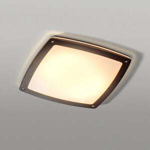 LED vonkajšie stropné svietidlo Fano S