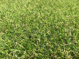 Lano - koberce a trávy AKCIA: 100x100 cm trávny koberec Camelia (umelá tráva) - 100x100 cm