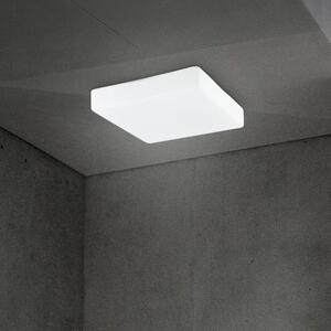 Moderné stropné svietidlo Cube 20.5 biele