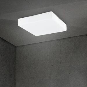 Moderné stropné svietidlo Cube 25 biele