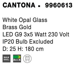 Retro luster Cantona B 25 zlaté