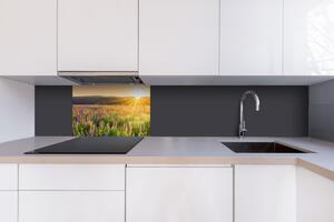 DIMEX | Dibond doska za kuchynskú linku | DBW-06040-145 Západ slnka na lúku | 60 x 40 cm