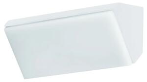 Vonkajšie LED svietidlo Keen 18 biele