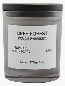 Vonná sviečka Deep Forest (Orange, White Rose, Cedarwood & Patchouli)