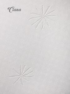 TEXPOL Sendvičový obojstranný matrac proti preležaninám aj pre seniorov ZARA z PUR peny - 195 x 80 cm, Materiál: Ciana