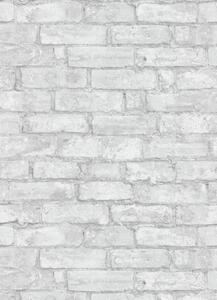 DIMEX | Vliesová tapeta na stenu WPE-901094 | 0,53 x 10,05 m | biela, šedá