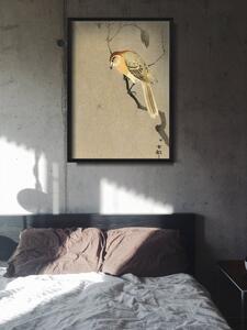 Plagát Plagát Vták a pavúk na konári od Ohary Koson