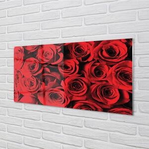 Nástenný panel  ruže 100x50 cm