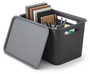 Rotho Úložný box s vekom a s držadlami BRISEN 16l, 36x26,2x21cm, čierny