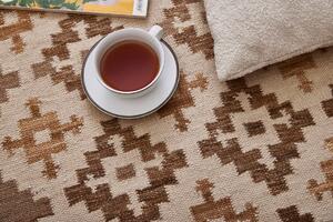 Diamond Carpets koberce Ručne viazaný kusový koberec M. Kelim DE 2262 Brown Mix - 120x170 cm