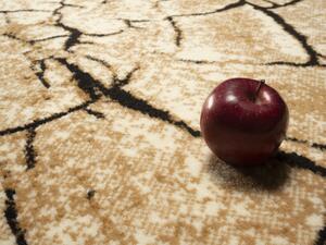 Alfa Carpets Kusový koberec Superwood brown - 160x230 cm