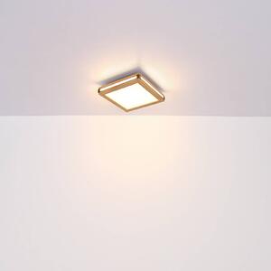 LED stropné svietidlo Karla square 30x30 cm
