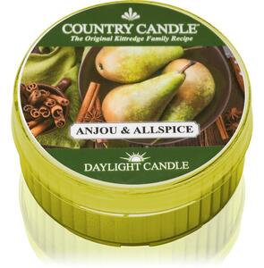 Country Candle Anjou & Allspice čajová sviečka 42 g