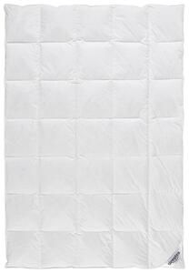 CELOROČNÁ PRIKRÝVKA, 135/200 cm, kačacie páperie, kačacie perie Sleeptex - Prikrývky & vankúše, Online Only