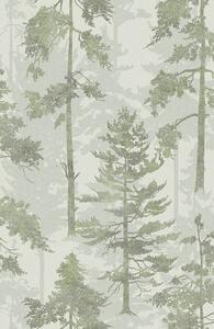 Sivo-zelená vliesová tapeta na stenu, les, stromy, 121422, New Eden, Graham&Brown Premium
