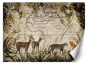 Fototapeta Mapa a divoké zvieratá - Andrea Haase Materiál: Vliesová, Rozmery: 200 x 140 cm