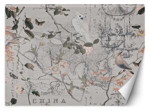 Fototapeta Vintage mapa a vtáky - Andrea Haase Materiál: Vliesová, Rozmery: 200 x 140 cm