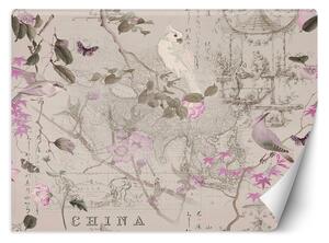 Fototapeta Vtáky na ružových vetvách - Andrea Haase Materiál: Vliesová, Rozmery: 200 x 140 cm