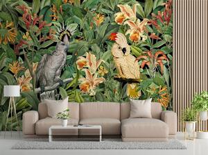 Fototapeta Dva tropické papagáje - Andrea Haase Materiál: Vliesová, Rozmery: 200 x 140 cm
