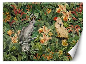 Fototapeta Dva tropické papagáje - Andrea Haase Materiál: Vliesová, Rozmery: 200 x 140 cm