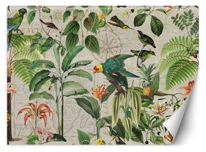 Fototapeta Zelené vtáky v trópoch - Andrea Haase Materiál: Vliesová, Rozmery: 200 x 140 cm