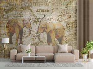 Fototapeta Stará mapa a slony - Andrea Haase Materiál: Vliesová, Rozmery: 200 x 140 cm
