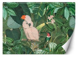 Fototapeta Papagáje v trópoch - Andrea Haase Materiál: Vliesová, Rozmery: 200 x 140 cm