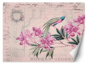 Fototapeta Vták na ružovej vetve - Andrea Haase Materiál: Vliesová, Rozmery: 200 x 140 cm
