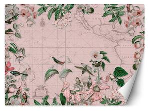 Fototapeta Vtáky a kvety na mape - Andrea Haase Materiál: Vliesová, Rozmery: 200 x 140 cm