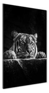 Vertikálny fotoobraz na skle Tiger osv-101258480