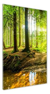 Vertikálny foto obraz sklenený Slnko v lese osv-101332192