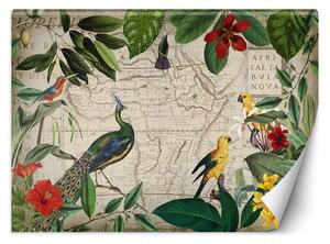 Fototapeta Divoké tropické vtáky - Andrea Haase Materiál: Vliesová, Rozmery: 200 x 140 cm