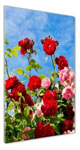 Vertikálny foto obraz sklenený Divoká ruža osv-104021490