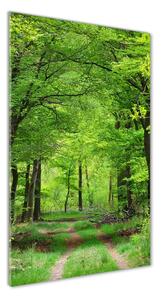 Vertikálny foto obraz sklenený Zelený les osv-104709227