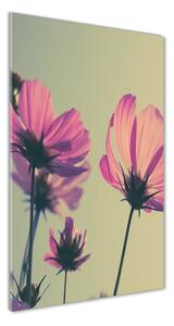Vertikálny fotoobraz na skle Ružové kvety osv-104707608