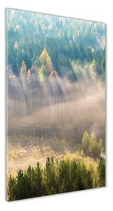 Vertikálny fotoobraz na skle Hmla nad lesom osv-104886541