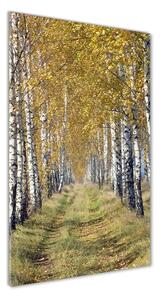 Vertikálny foto obraz sklenený Brezový les osv-105179971