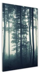 Vertikálny foto obraz sklenený Hmla v lese osv-106280644