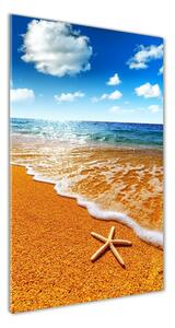 Vertikálny foto obraz sklo tvrdené Hviezdice na pláži