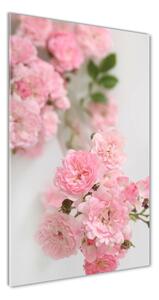 Vertikálny foto obraz fotografie na skle Divoká ruža
